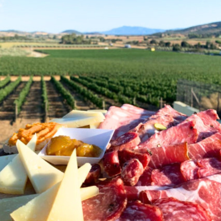 Degustazioni nelle cantine della Maremma