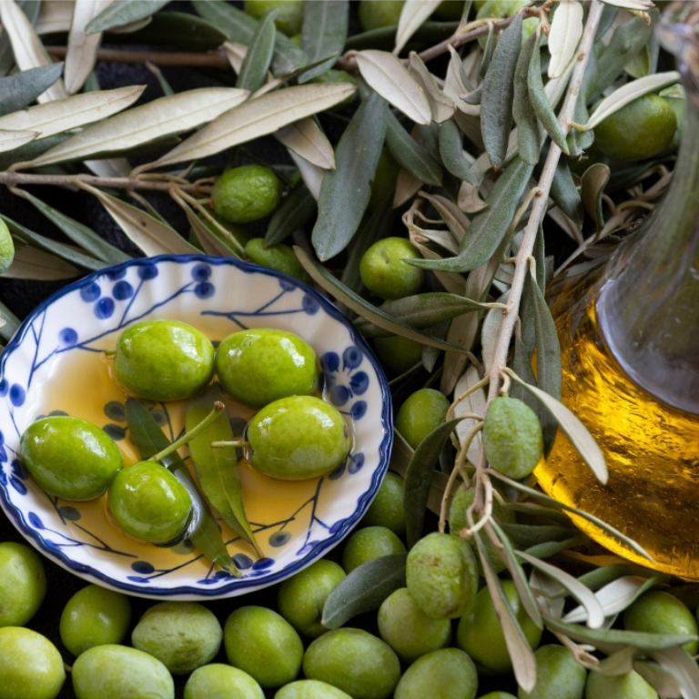L'Olio DOP di Canino